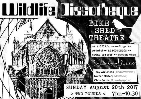 Client : Wildlife Disco